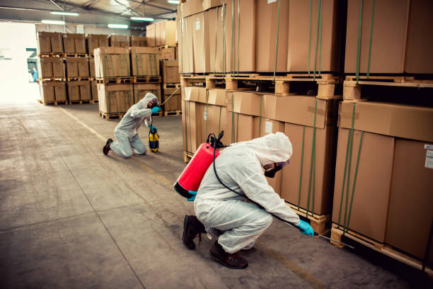 Best Mosquito Control Services  in Sarasota Springs, FL