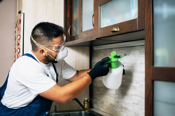 Best Insect Control  in Sarasota Springs, FL