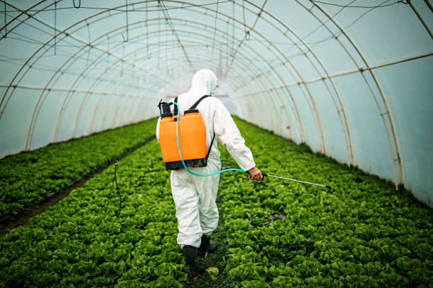 Best Pest Control Near Me  in Sarasota Springs, FL
