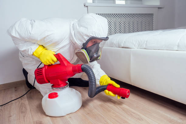 Best Best Pest Control Companies  in Sarasota Springs, FL