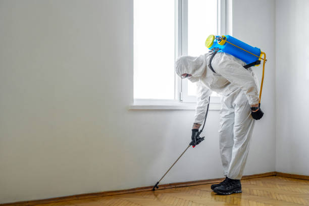 Best Wasp Removal Services  in Sarasota Springs, FL