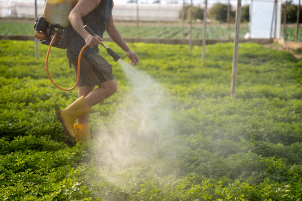 Pest Prevention Services in Sarasota Springs, FL