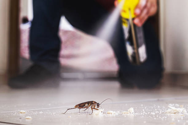 Best Pest Control for Businesses  in Sarasota Springs, FL