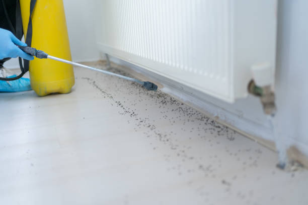 Best Rat Extermination Near Me  in Sarasota Springs, FL